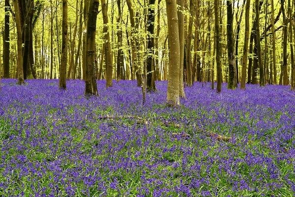 CarolAndersonBognorSEpic2