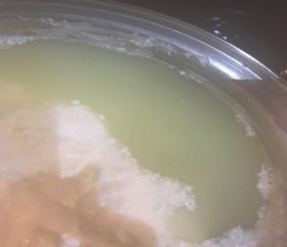 ShamimaHasanSangPaneer Image 1