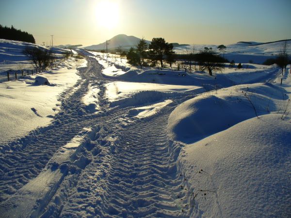 'Snow & Sun' by Yvonne of Wilton & District u3a