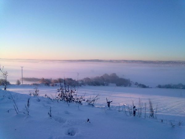 'Early Evening Light' by Sue Rowley of Barnsley & District u3a