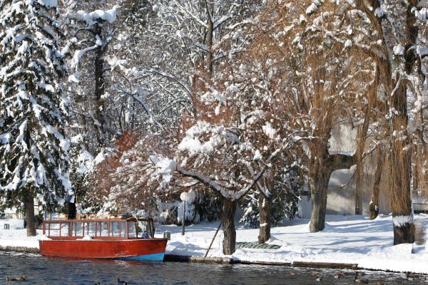 'Lake Bled' by Tessa Philips of Potters Bar u3a