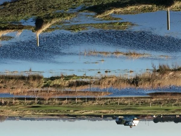 'Winter Wetland' by Lesley Thatcher of White Cliffs Country u3a
