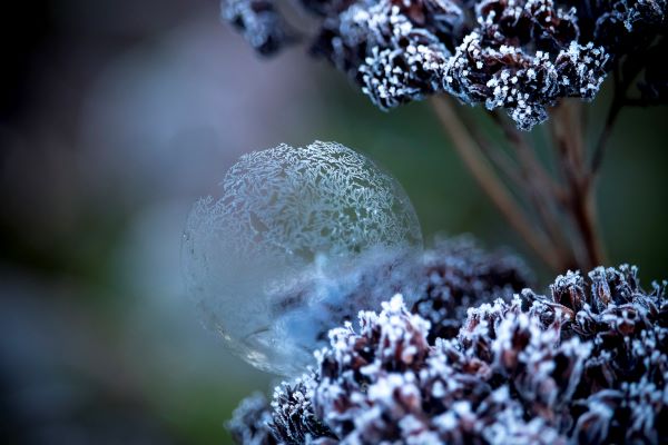 'Soap Bubble' by Robert Reeves of Camelot u3a