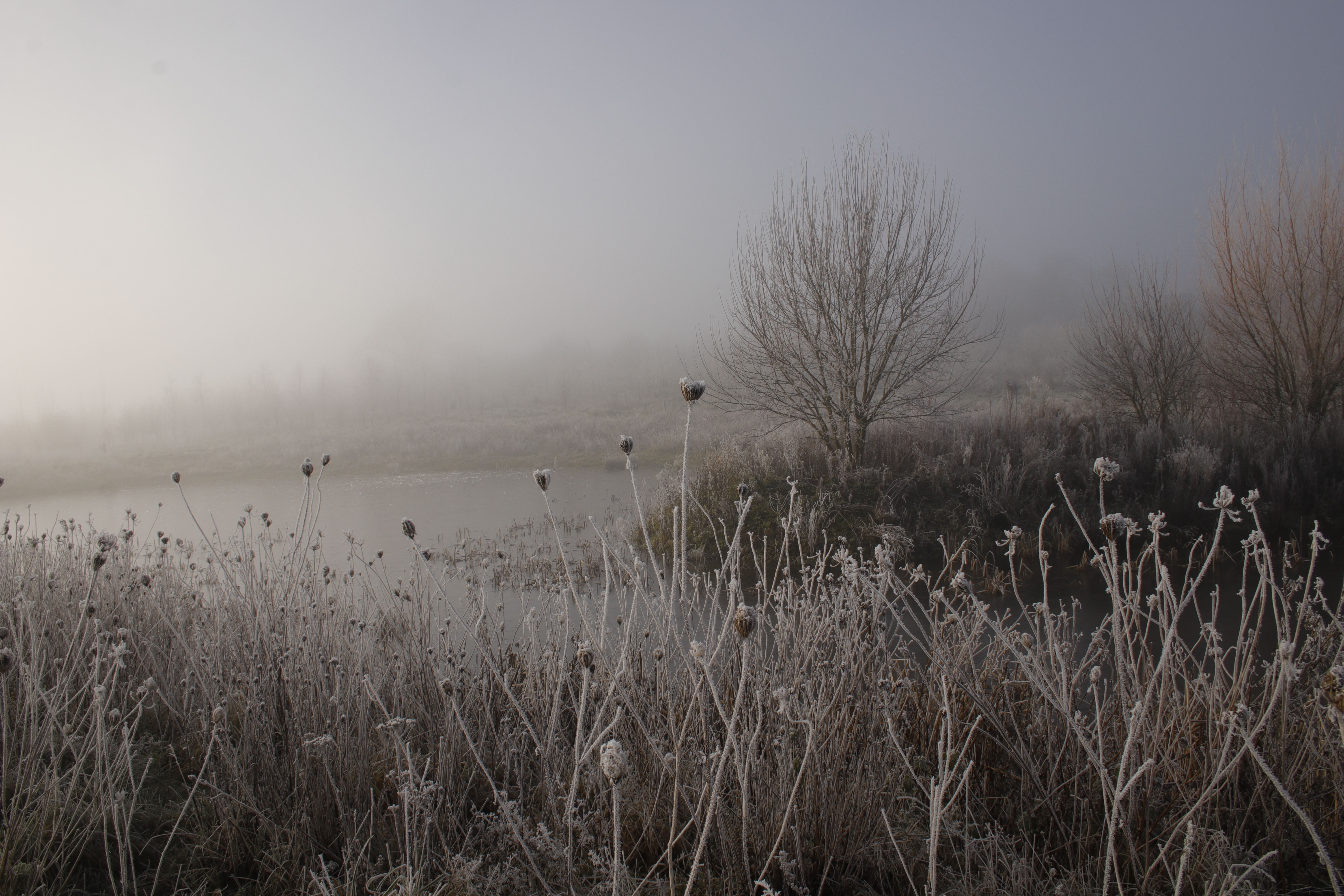 'Haddon Wood' by Robert Reeves of Camelot u3a