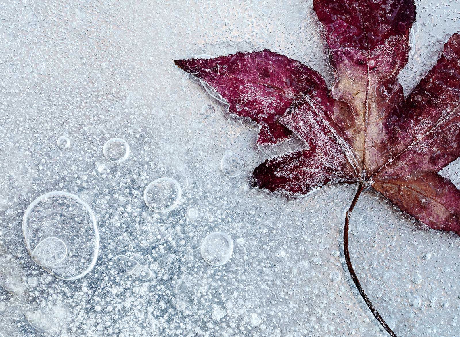 'Bleak Midwinter' by Julie Pigula of Southport u3a