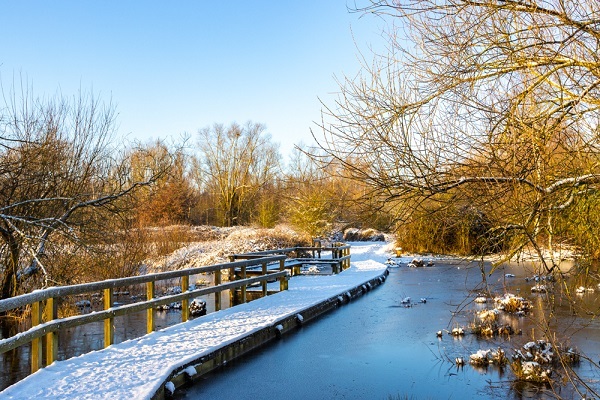 'Under the Boardwalk' by Peter Hagger of St Neots u3a