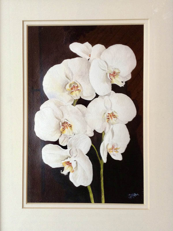 'Orchids' by Sheila Allen of Uttoxeter u3a