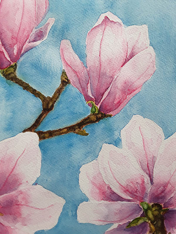 'Magnolia tree' by Sandra Maudlin of Bulkington Nuneaton Bedworth u3a