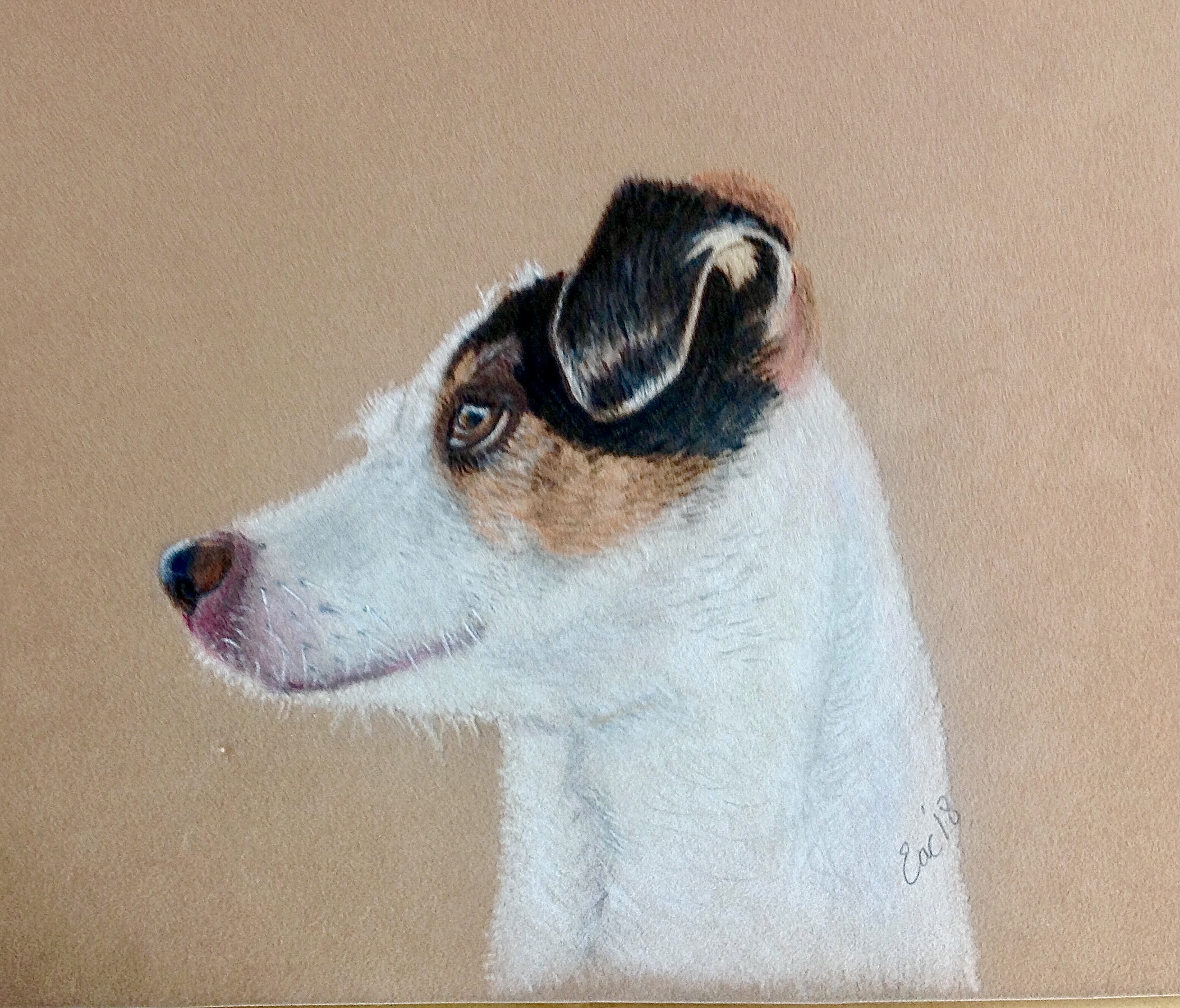 'Daisy' by Elaine Cross, Thatcham, Berkshire u3a