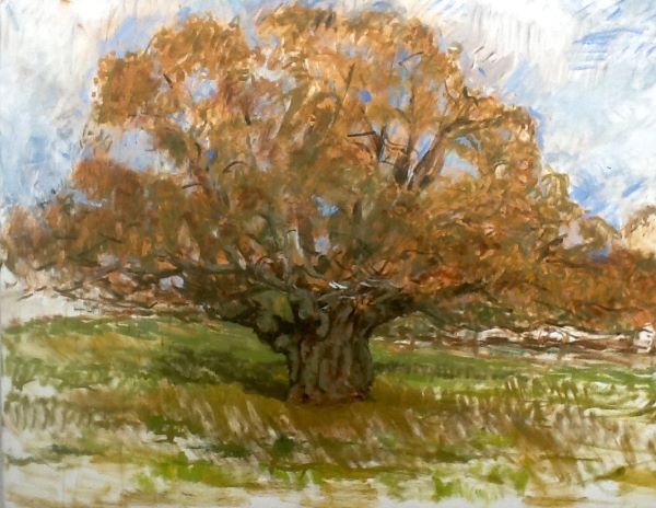 'Ancient Oak Trees' by Ormond Noonan, Richmond u3a