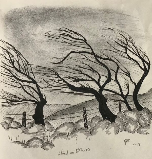 'Could I walk in this wind' by Dennis Parkinson, Northallerton u3a