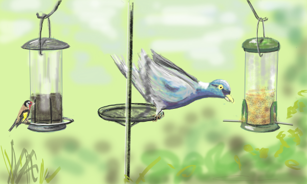 'Bird feeder' by Shirley Mountain, Chesterfield u3a