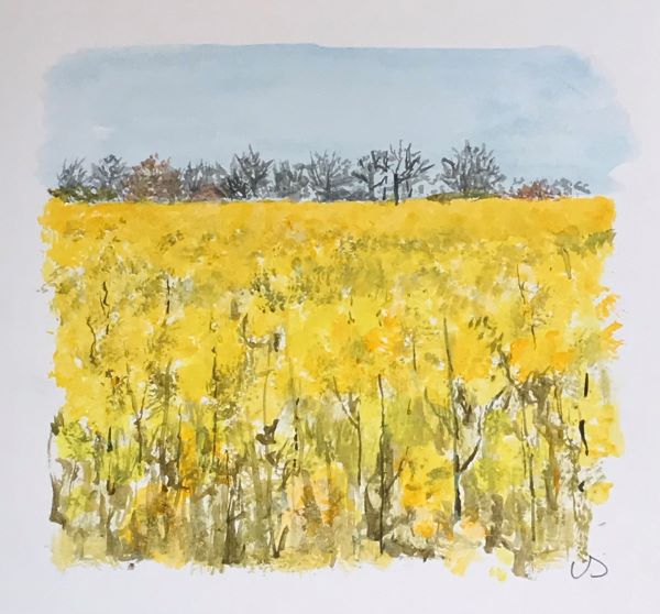 'Yellow' by Valerie Salverson, Camberley u3a