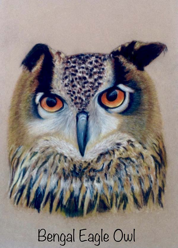 'Bengal Eagle Owl' by Elaine Cross of Thatcham u3a