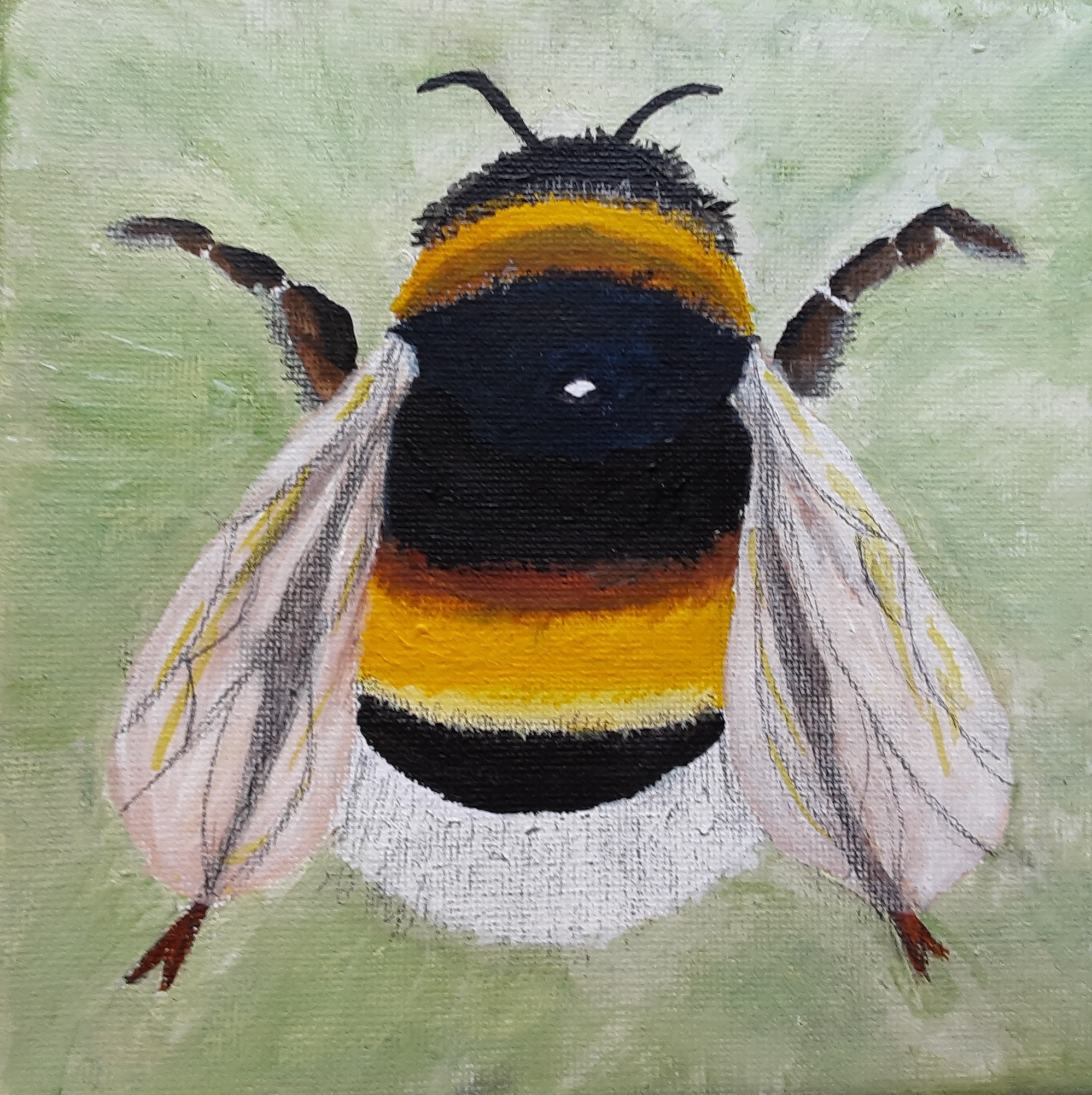 'Queen Bee' by Carole Mindham, Hale & District u3a
