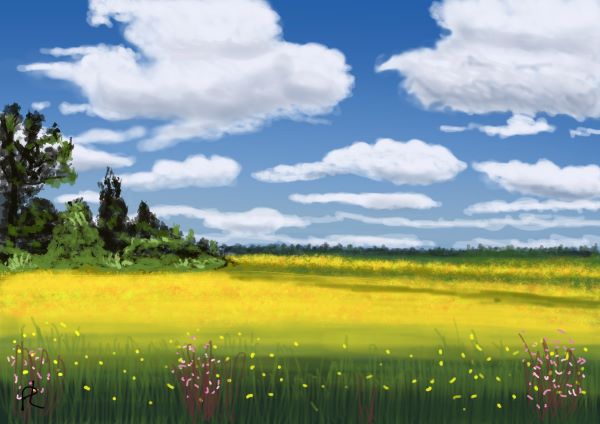 'Yellow Fields' by Paul Luton, Hale & District u3a