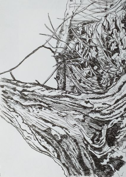 'Tangled up' by Lesley Williams of Hale & District u3a