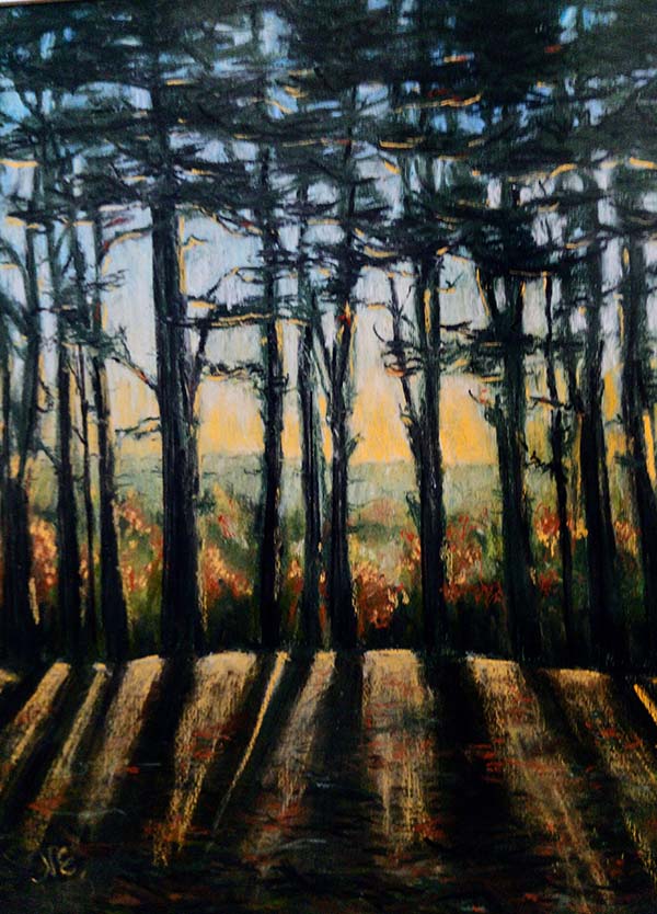 'Evening Glow in the woods' by Natasha Etchells of Porthmadog u3a