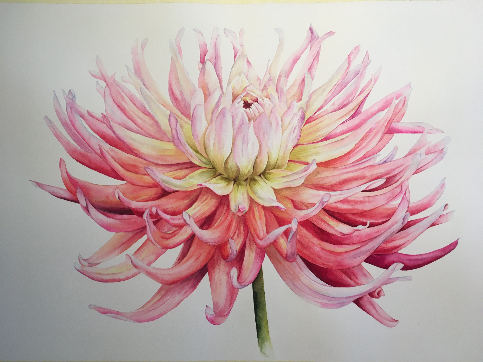 'Star Elite' by Marie Evans of Epsom & Ewell u3a