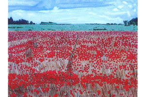 photoshop poppies