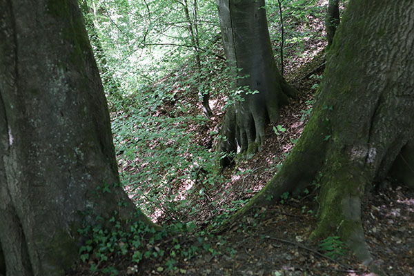 'Terrain' by Isabella  Chatterjee of Crawley U3A