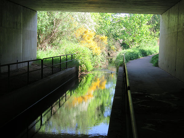 'Tunnel' by Mike Taylor of Dundee U3A