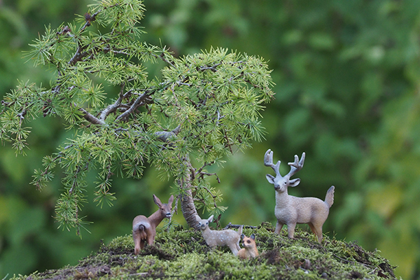 'Who's Coming?' by Christopher Baron of Brighton & Hove U3A