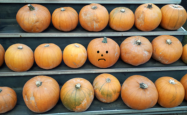 'All Alone' by Jim Melville of Balsall Common U3A