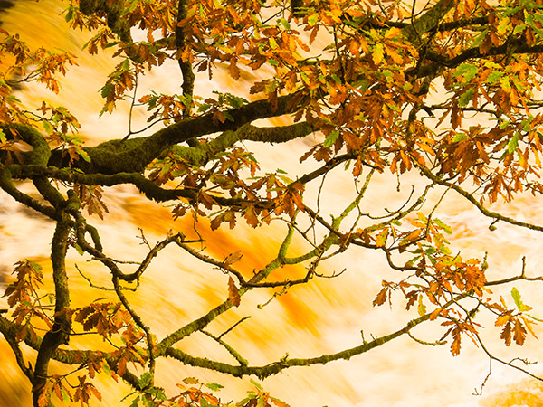 'Waterfall' by Jane	Thomson of Lanark & District U3A