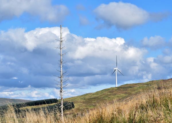 'Nature and Manufactured' by Morven Campbell of Dumfries u3a