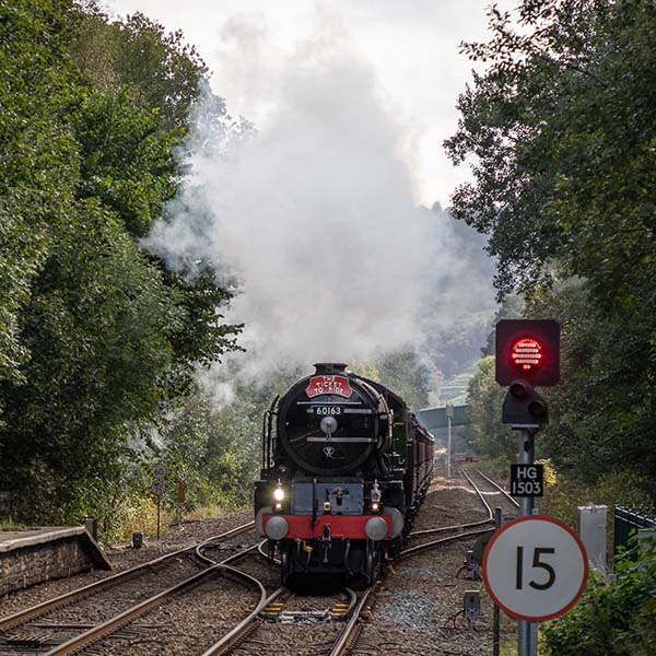 'Ticket To Ride' by Barbara Lansdell of Todmorden u3a