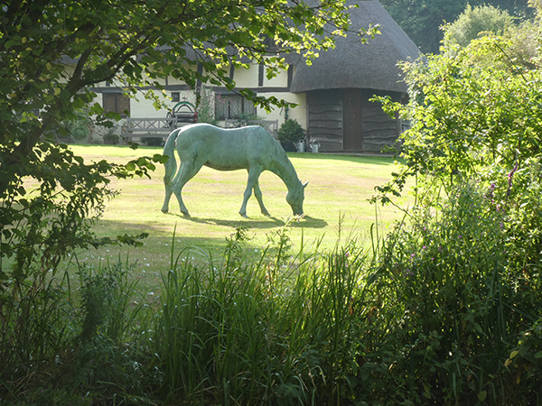 'Grazing Horse' by Caroline Jauncey of Hartley, Wintney & District U3A