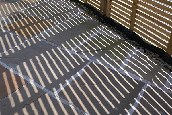 'Shadows everywhere' by Marion Clark of Newquay U3A