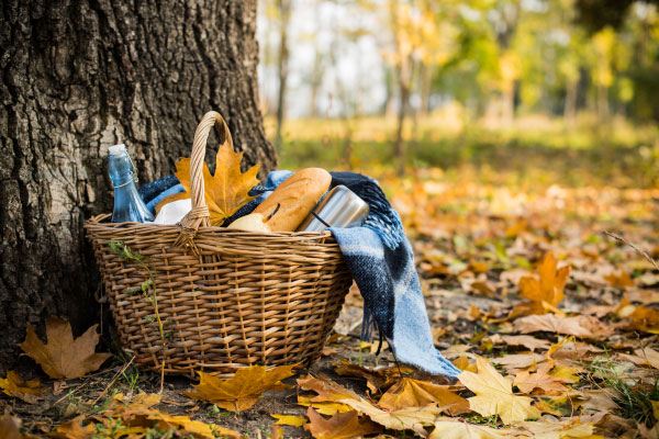 photoshop alfresco in autumn3