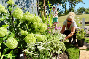 A woman with blonde hair is bent over with her hands in a garden plot. In the foreground are bright green flowers, tall stalks, white delicate flowers.
