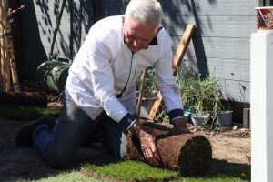 A man is rolling out astroturf