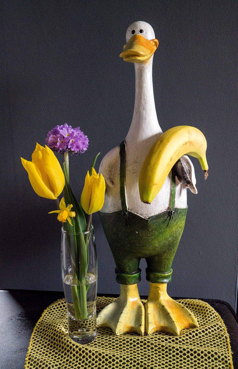 'Duck And Banana' by Tony Pelham of Warrington U3A