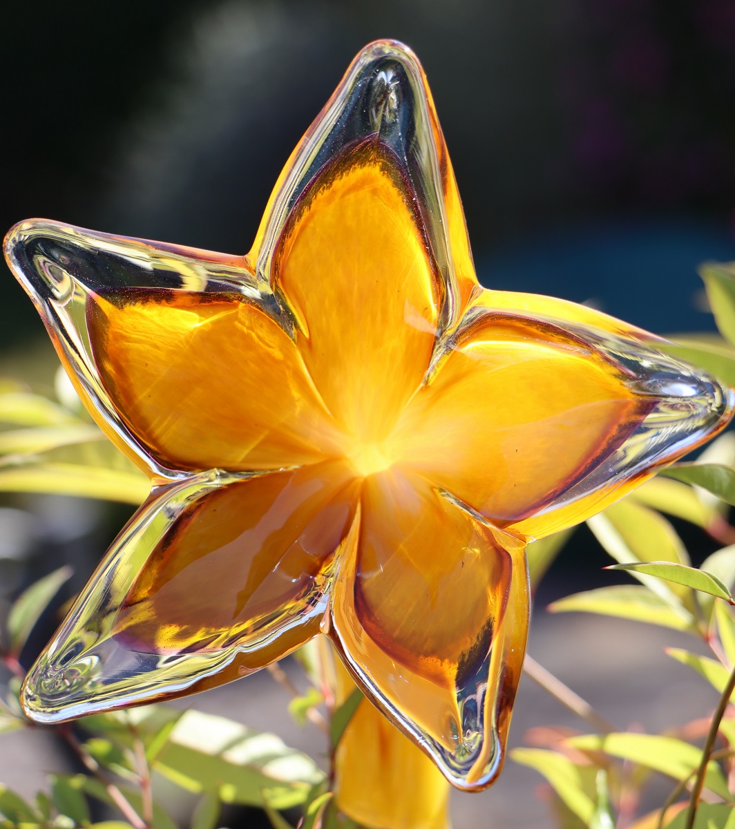 'Glass Flower' by John Owen of Worcester U3A