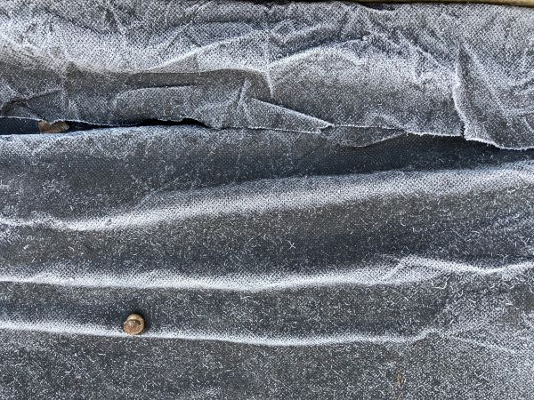 'Frost Lines' by Chris Conway of Bangor u3a