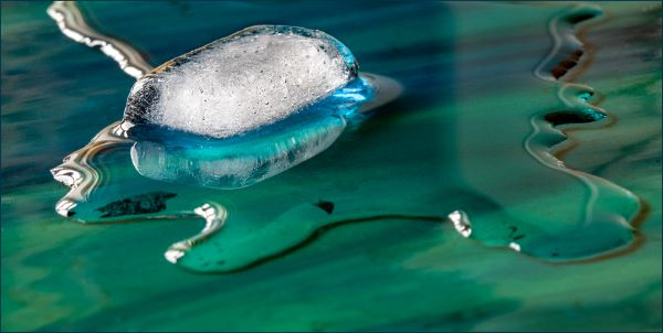 Ice Cube by Lynn Toms of North Cotswold u3a