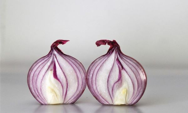 'Onion' by Janet Rutter of Devizes & District u3a