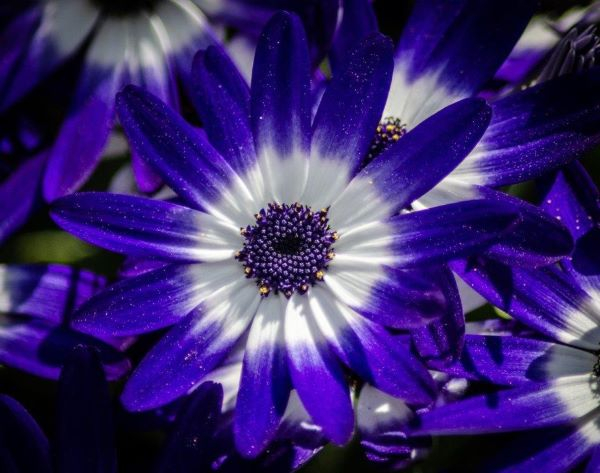 'The Centre of Attraction' by John Hope of Bracknell u3a