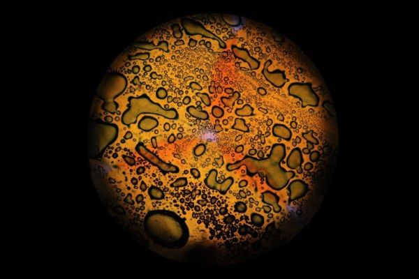 'Under Coaster' by Jonathan Ruddle of Hartley Witney & District u3a