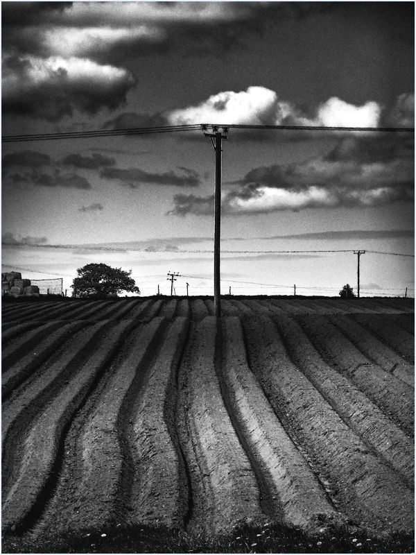 'After The Plough' by Trevor Hosking of Knutsford u3a