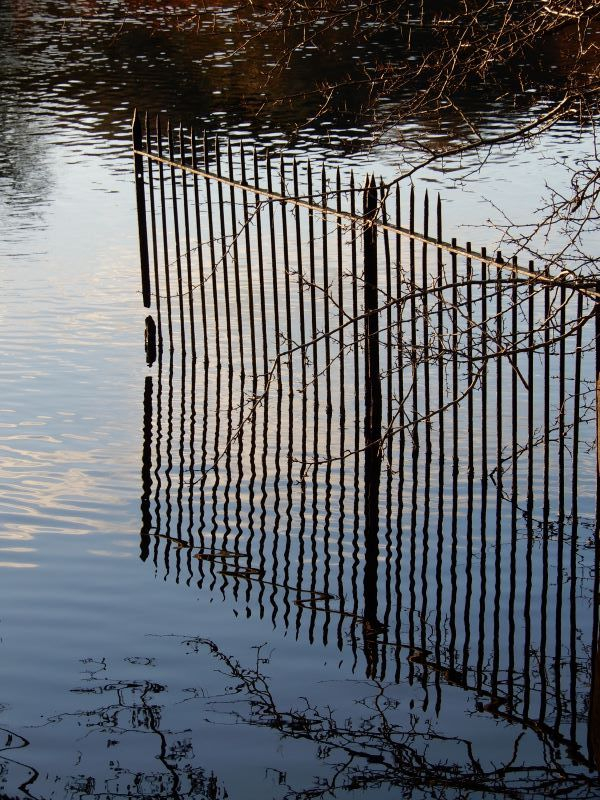 'Reflections' by Sandy Brooks of Mawdesley Villages u3a