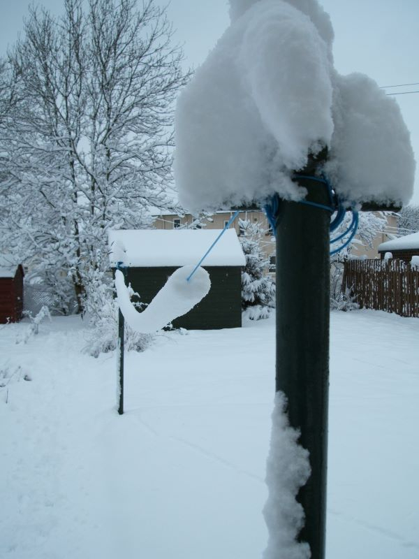 'Clothesline' by Edward of Paisley & District u3a