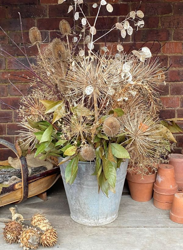 'End Of The Growing Season' by Angela Reid of Balsall Common u3a