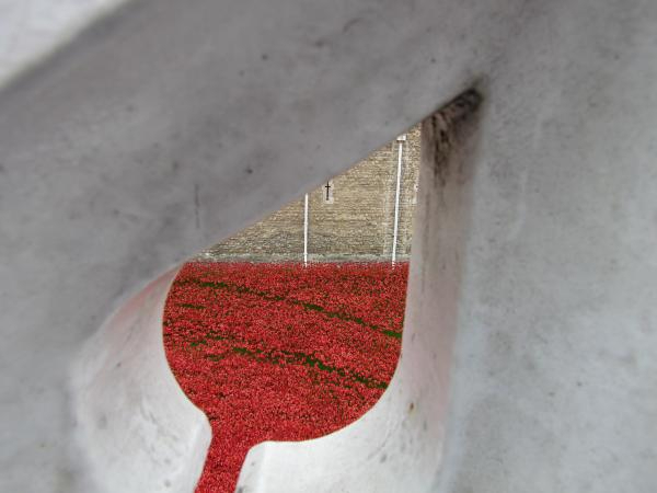 'Glass Half Full' by Heather Quiney of Dunmow u3a