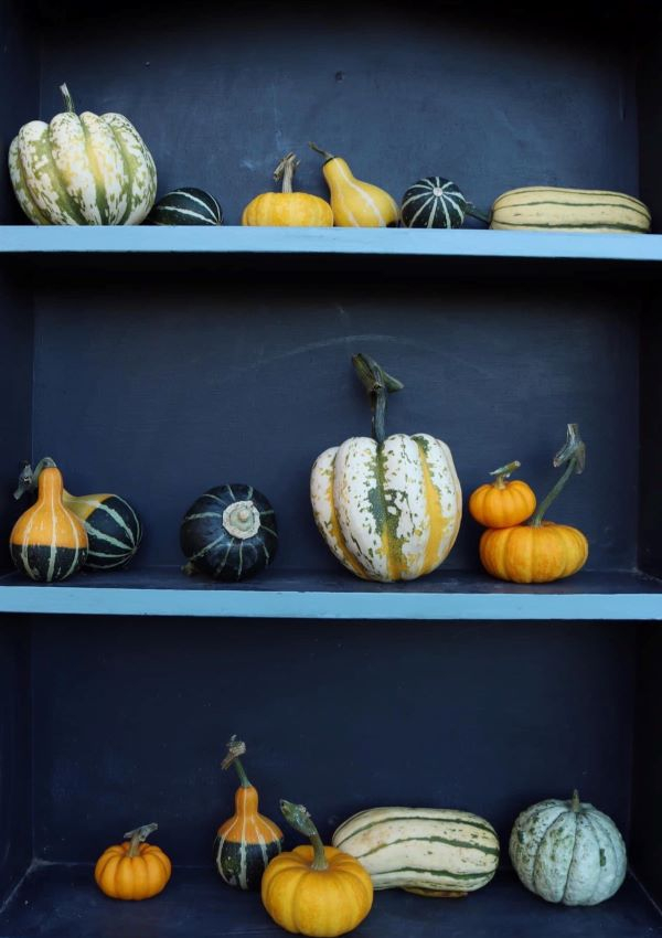 'Nature Shapes' by Sue Andrews of Braintree u3a