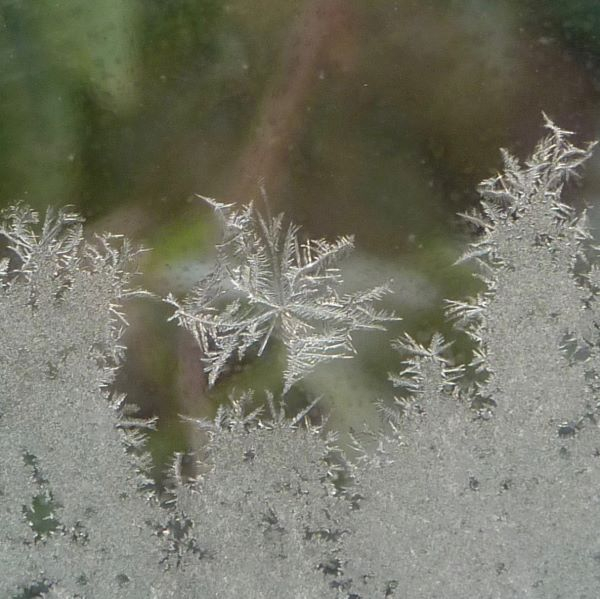 'Single Snowflake' by Lyn of Glasgow West End u3a